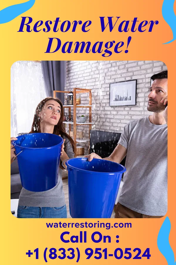 water restoration Prestige Cleanup LLC Central Garage
