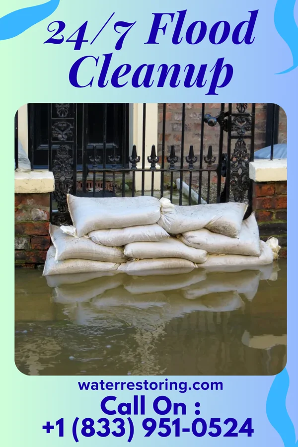 24/7 Flood Cleanup in Central Garage, VA
