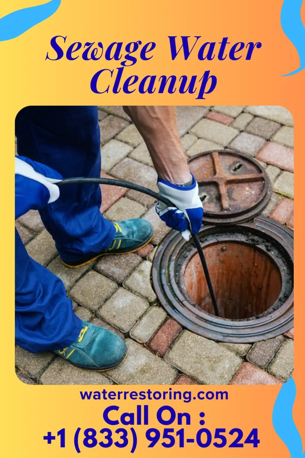 Sewage Water Cleanup in Central Garage, VA